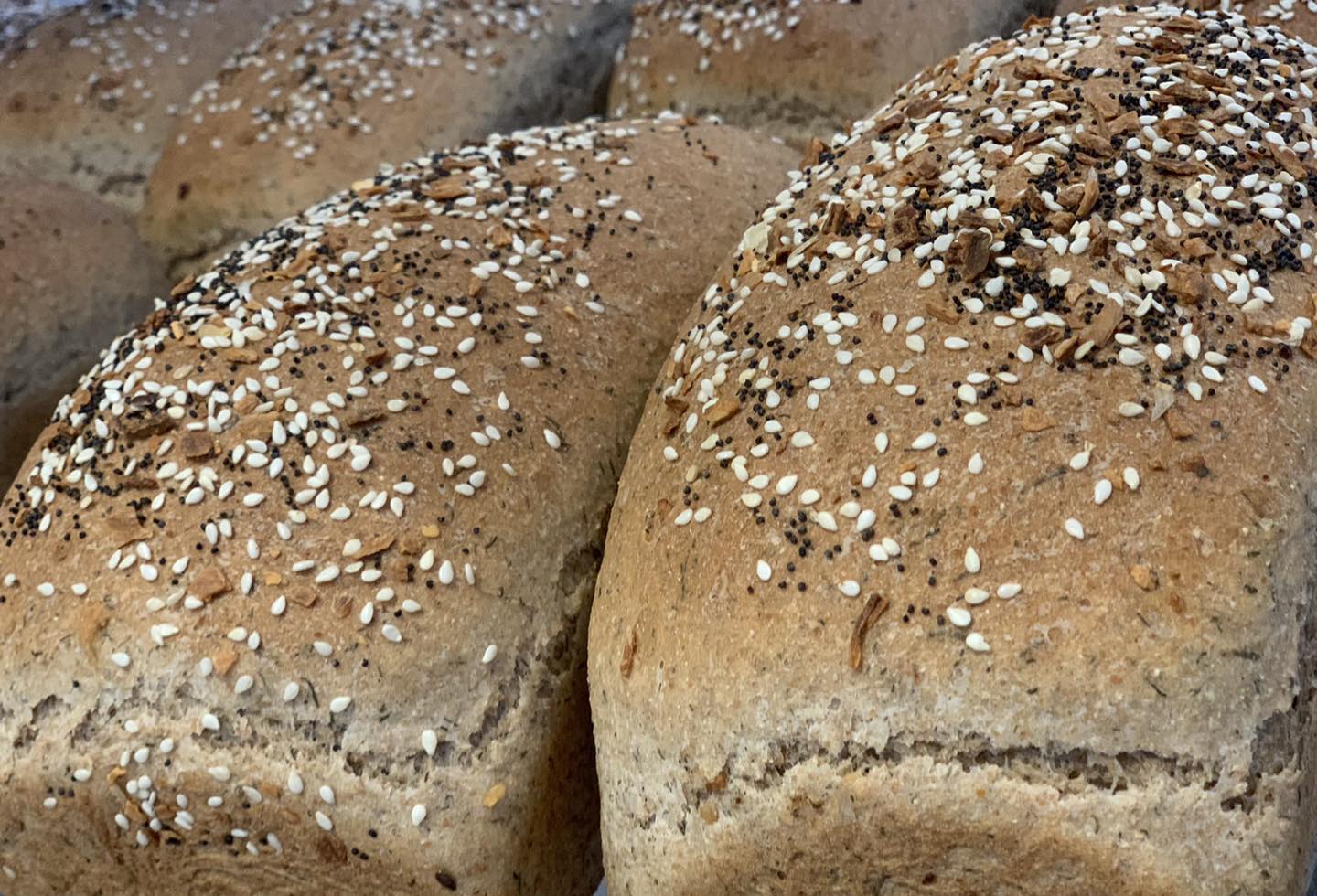 Grains Galore